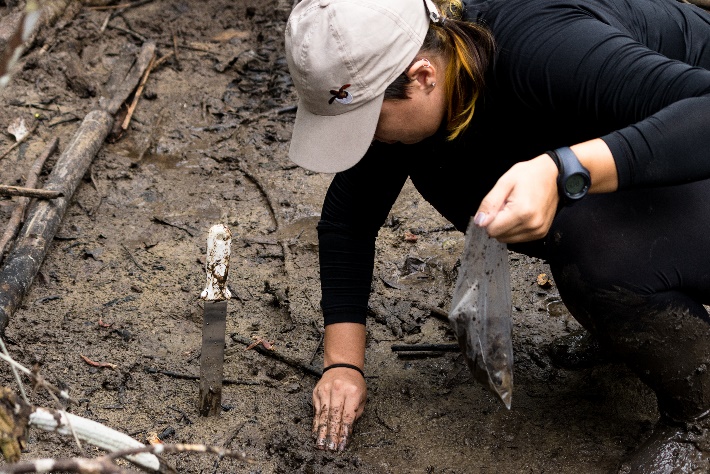 Projeto Biodiversidade Minuca vocator